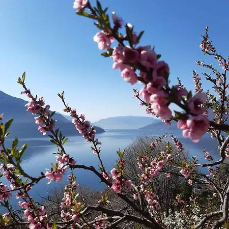 Ca' Del Barba Lägenhet *